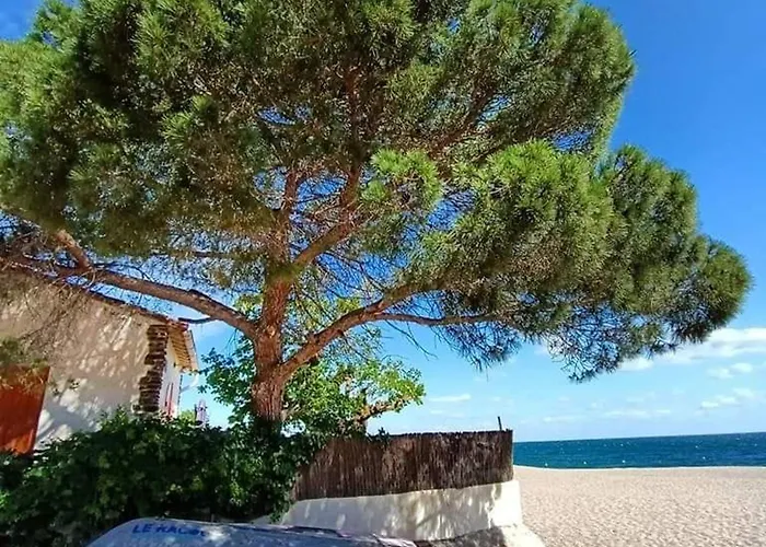 Pavillon 6 Pers. Avec Piscine, Clim, Parking Et Wifi - Fr-1-776-5