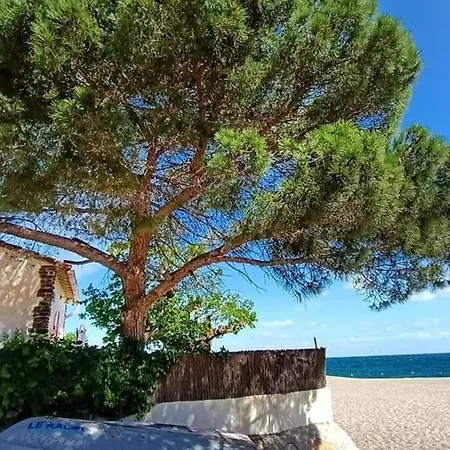 Pavillon 6 Pers A Argeles-sur-mer: Piscine, Clim, Parking, Wifi, Proche - Fr-1-776-5 Villa