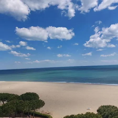 Pavillon 6 Pers A Argeles-sur-mer: Piscine, Clim, Parking, Wifi, Proche - Fr-1-776-5 Villa Argeles-sur-Mer